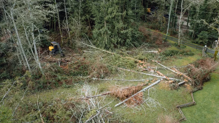 Land Cleaning Service in BC